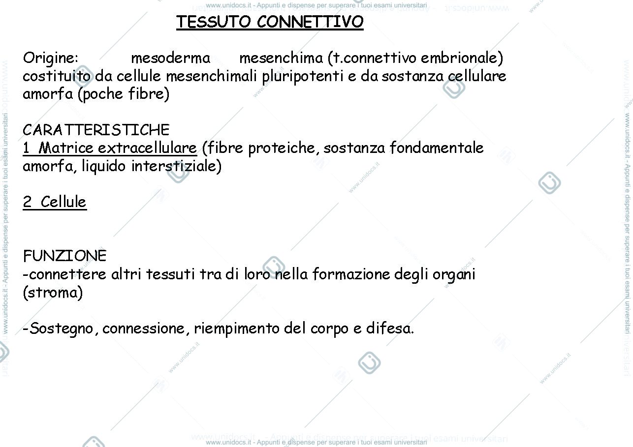 Anteprima pagina 1 — tessuto connettivo