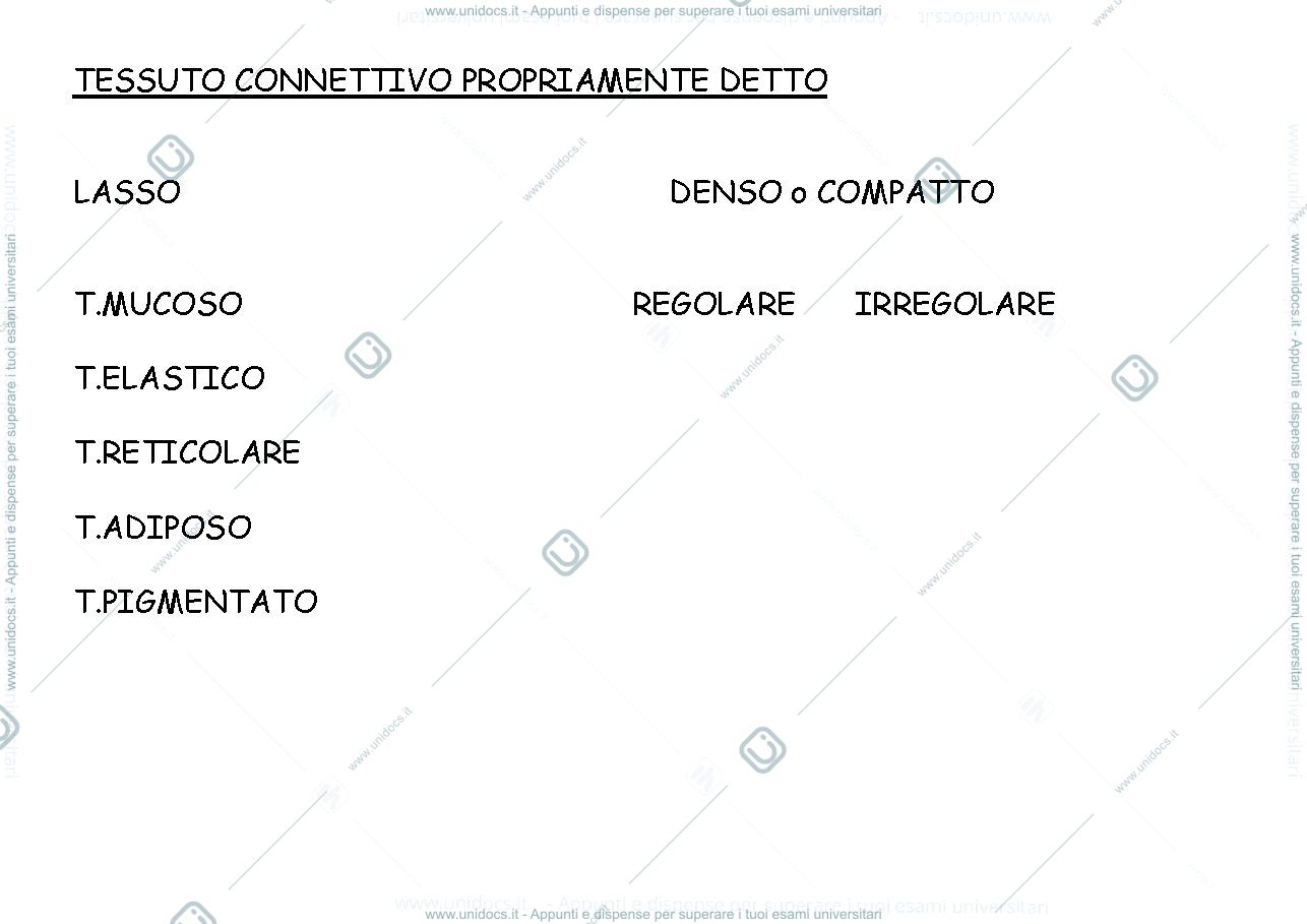 Anteprima pagina 3 — tessuto connettivo