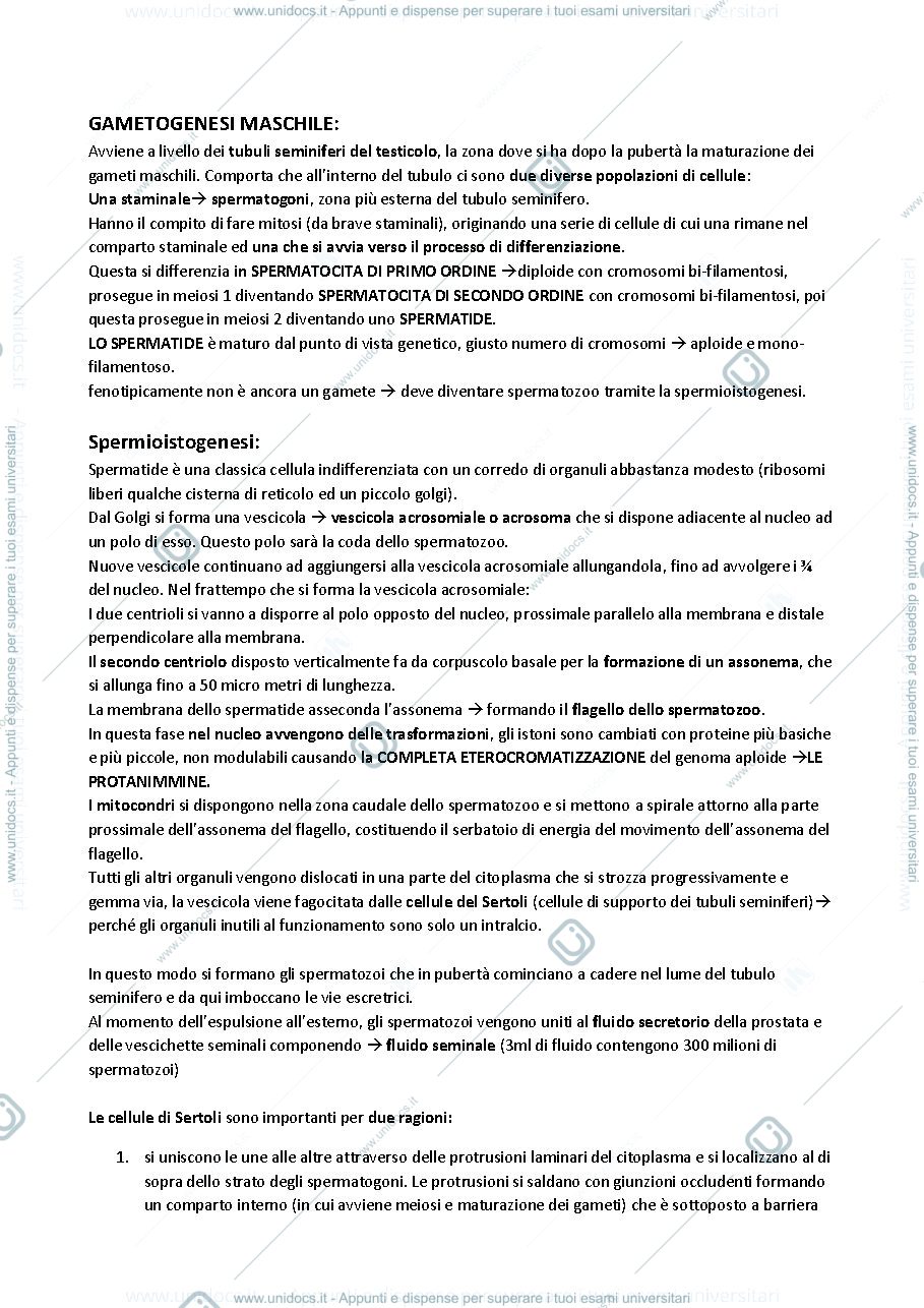 Anteprima pagina 1 — ISTOLOGIA (embriologia, odontogenesi)