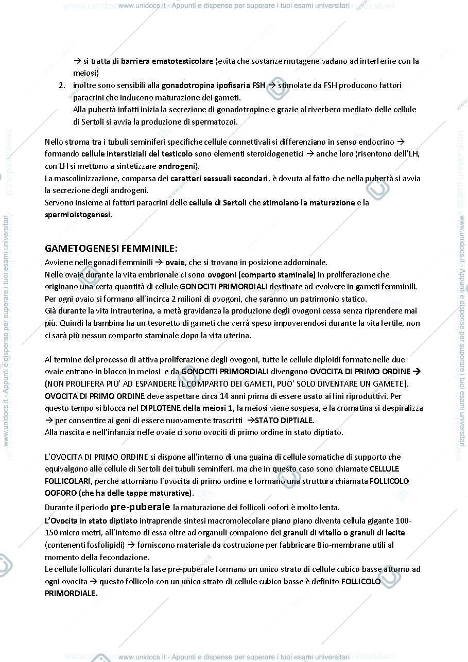 Anteprima pagina 2 — ISTOLOGIA (embriologia, odontogenesi)