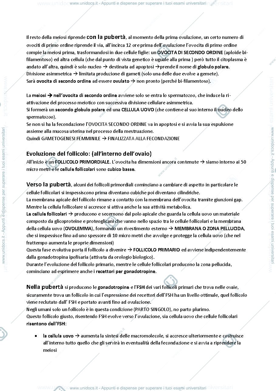 Anteprima pagina 3 — ISTOLOGIA (embriologia, odontogenesi)