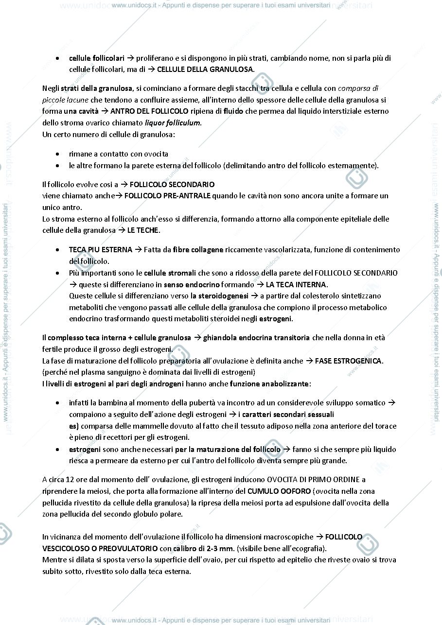 Anteprima pagina 4 — ISTOLOGIA (embriologia, odontogenesi)