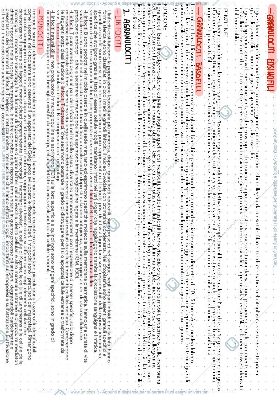 Anteprima pagina 3 — Istologia il sangue  e cartilagine