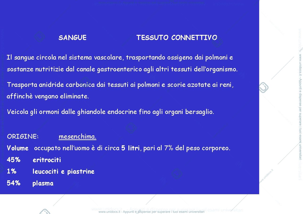 Anteprima pagina 1 — tessuto emopoietico