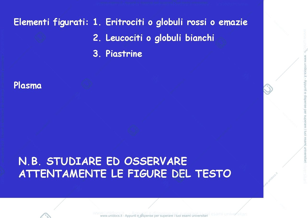 Anteprima pagina 2 — tessuto emopoietico