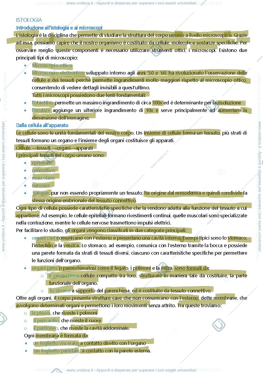 Anteprima pagina 1 — istologia