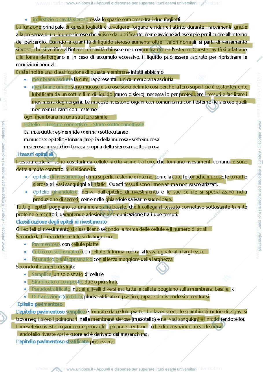 Anteprima pagina 2 — istologia