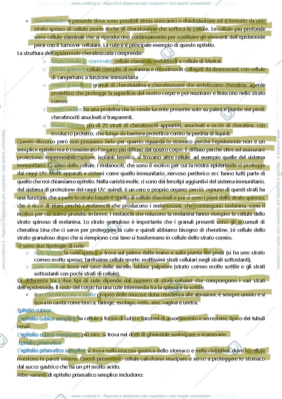 Anteprima pagina 3 — istologia