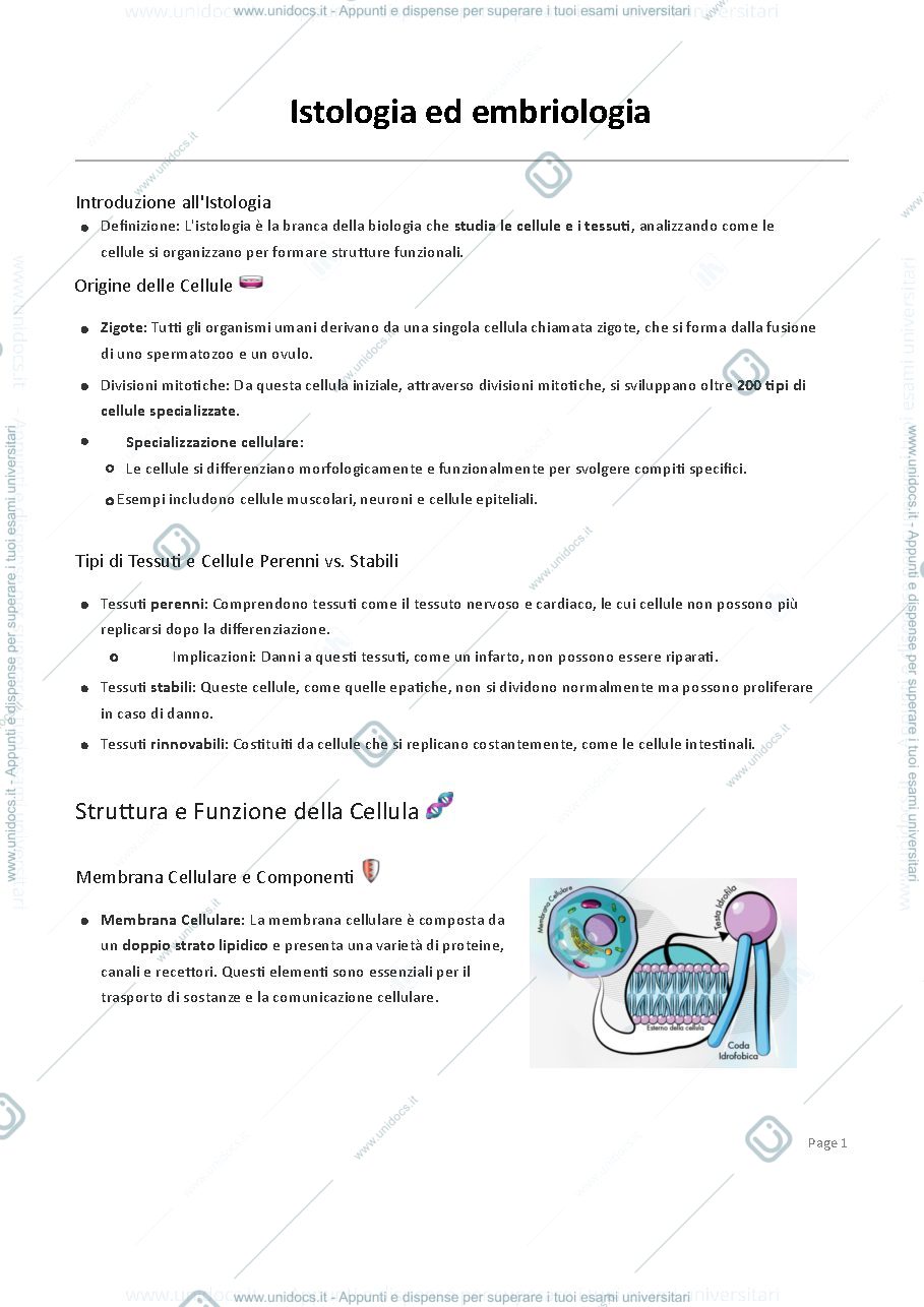 Anteprima pagina 1 — Istologia