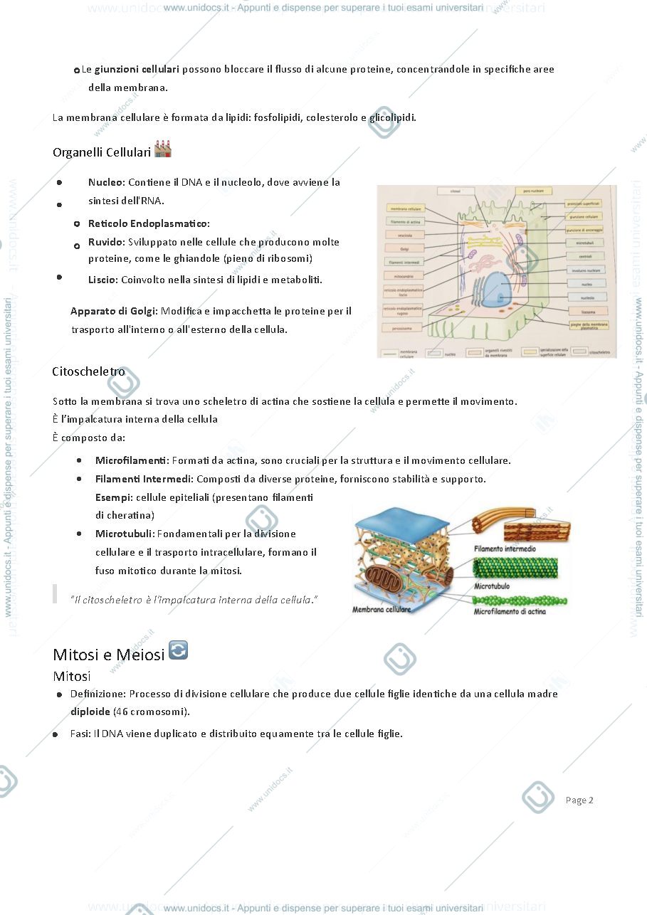 Anteprima pagina 2 — Istologia