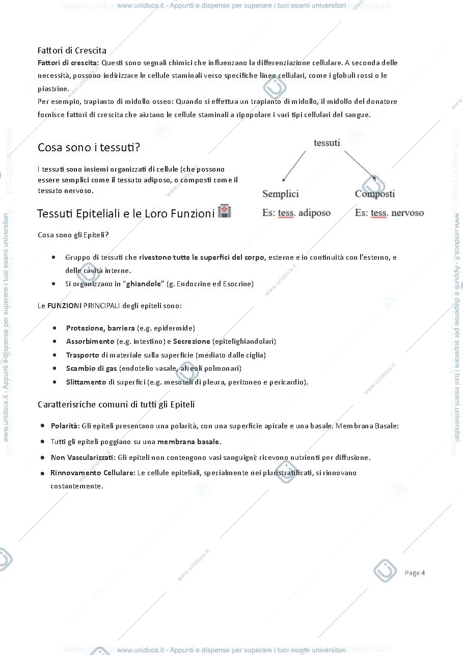 Anteprima pagina 4 — Istologia