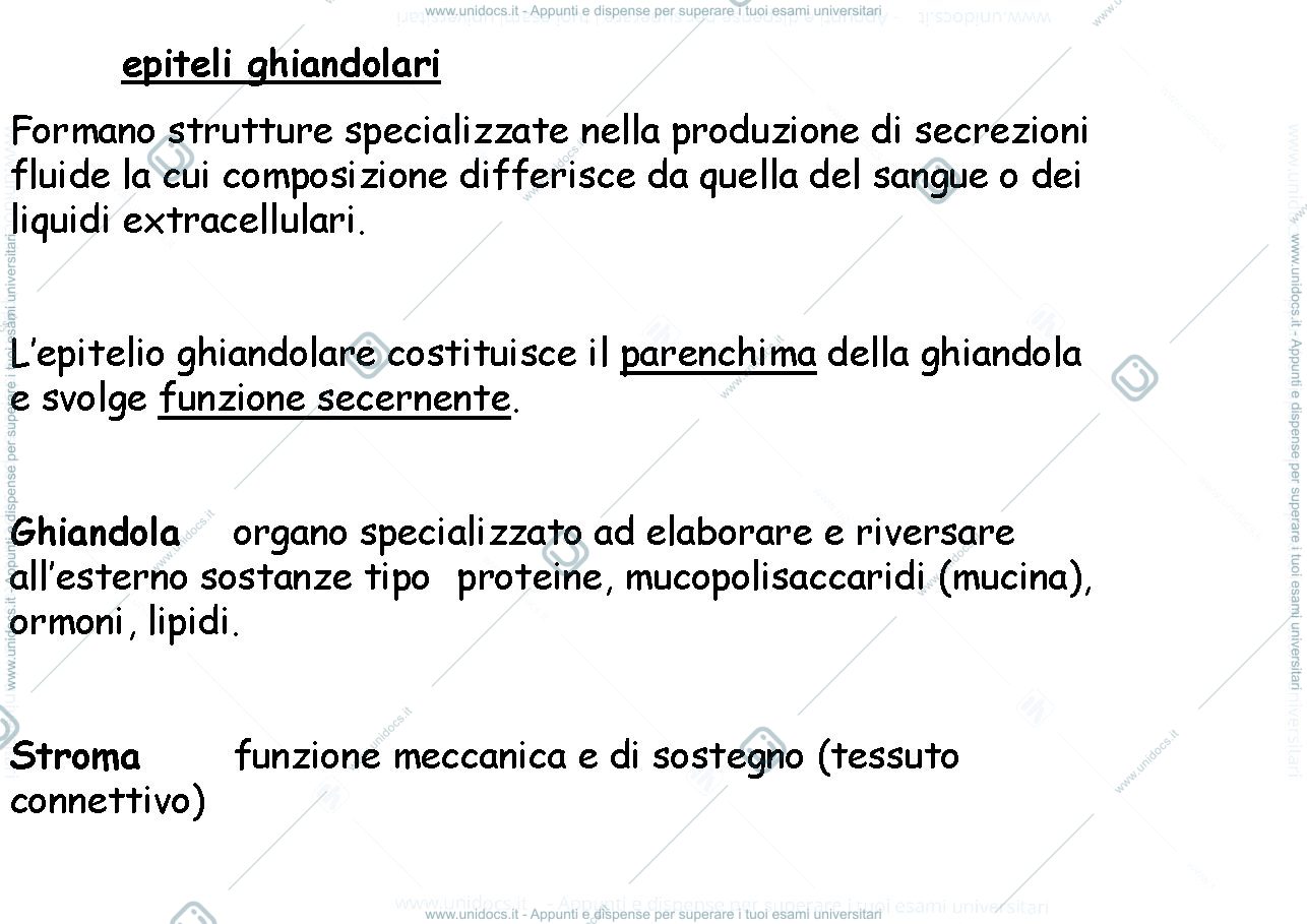 Anteprima pagina 1 — epiteli ghiandolare