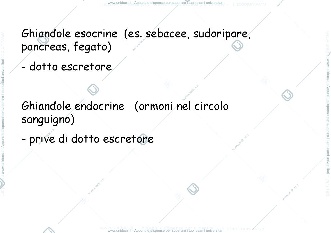 Anteprima pagina 2 — epiteli ghiandolare