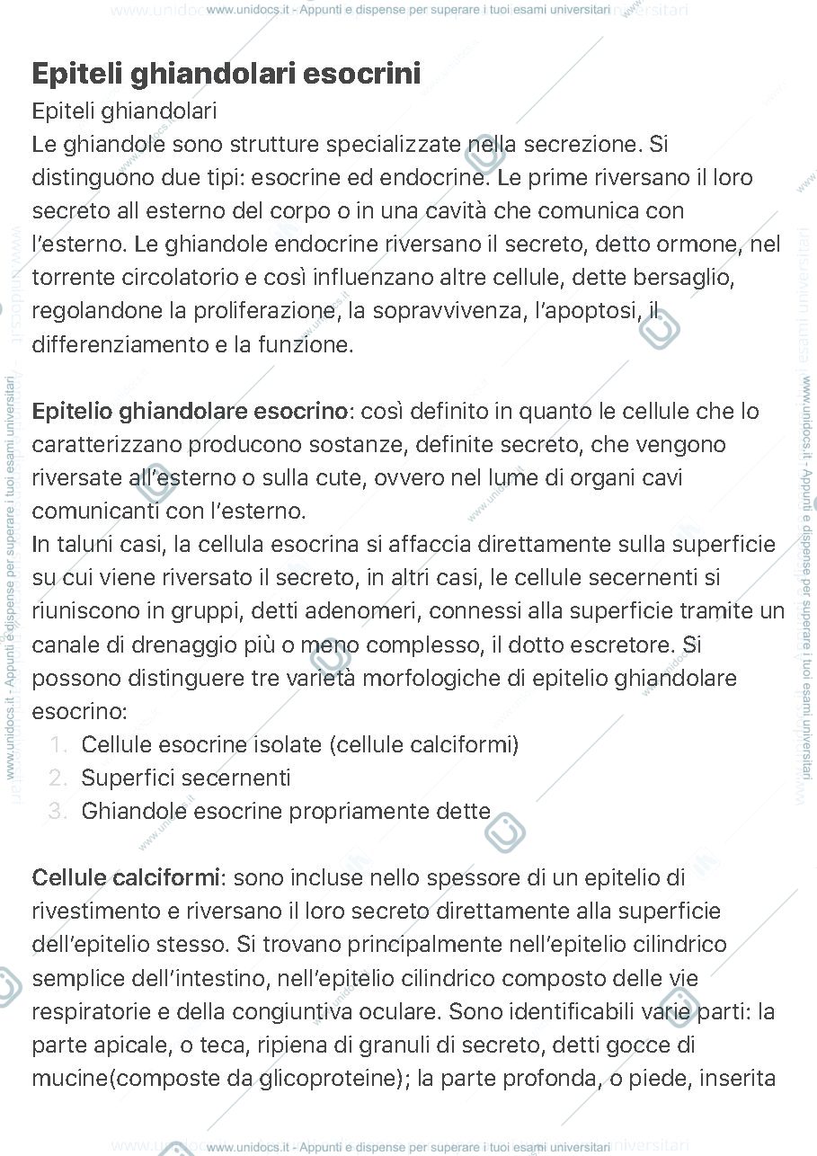 Anteprima pagina 1 — Epitelio ghiandolare esocrino