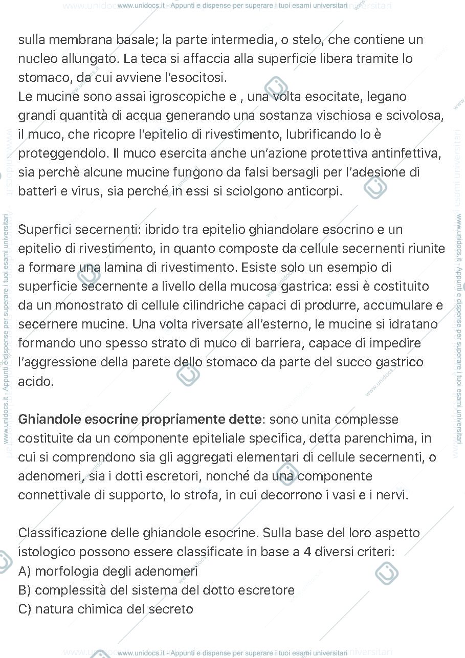 Anteprima pagina 2 — Epitelio ghiandolare esocrino