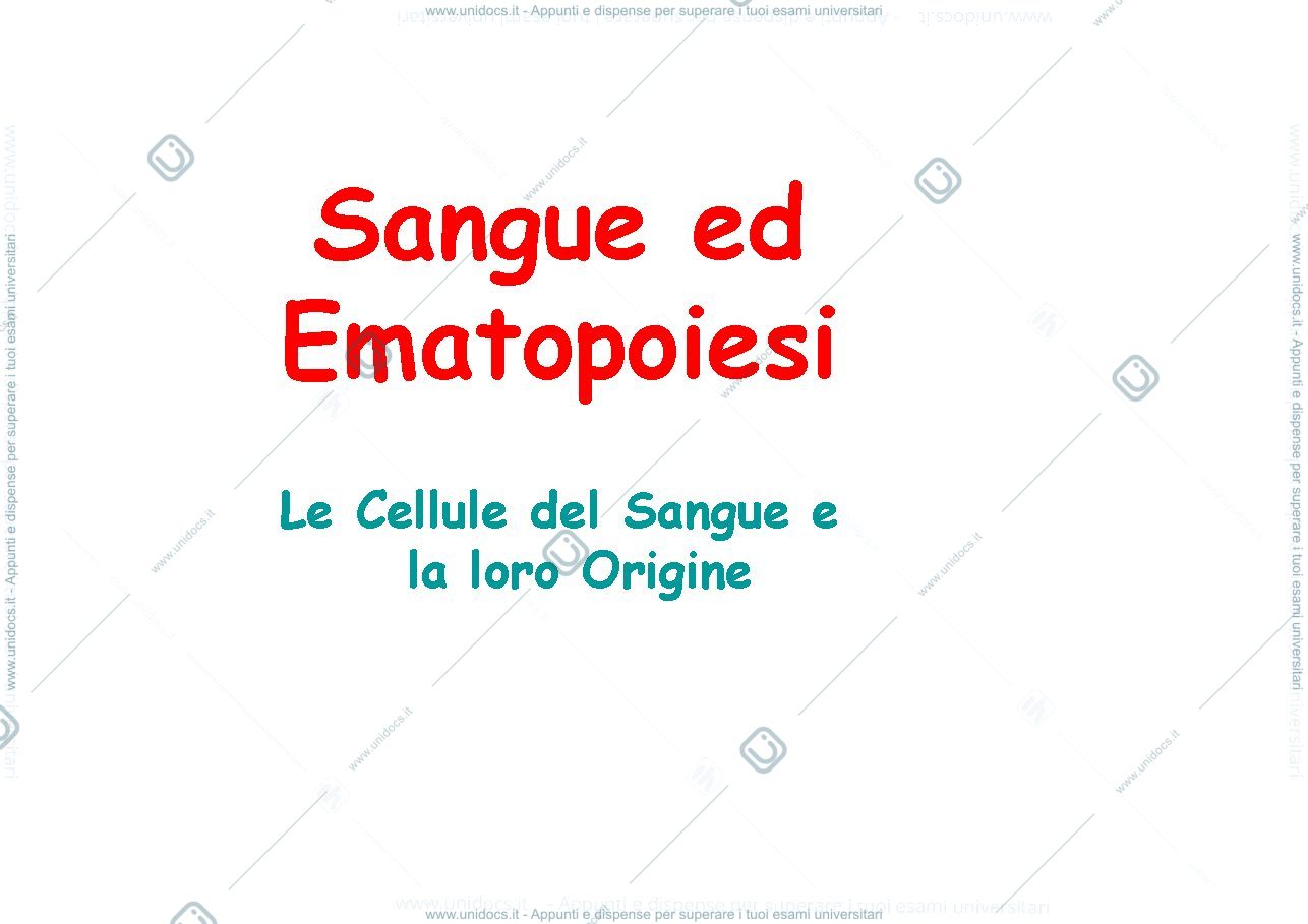 Anteprima pagina 1 — Sangue