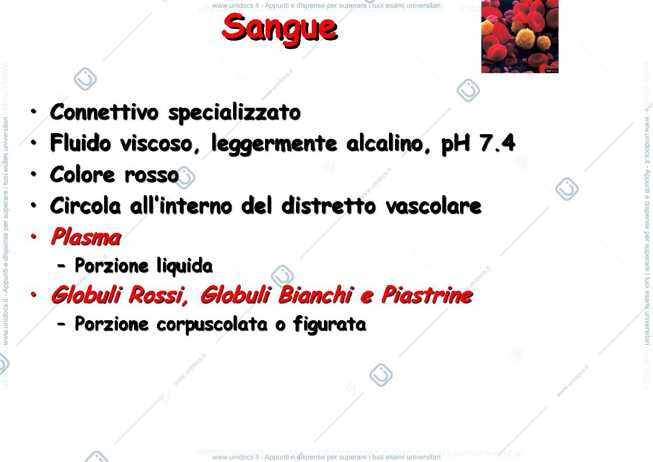 Anteprima pagina 2 — Sangue