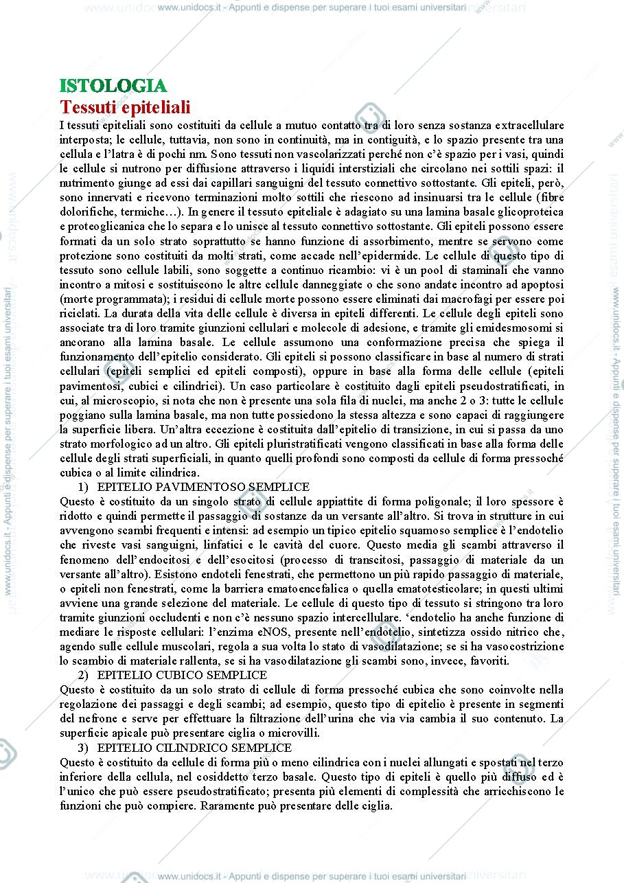 Anteprima pagina 1 — Istologia