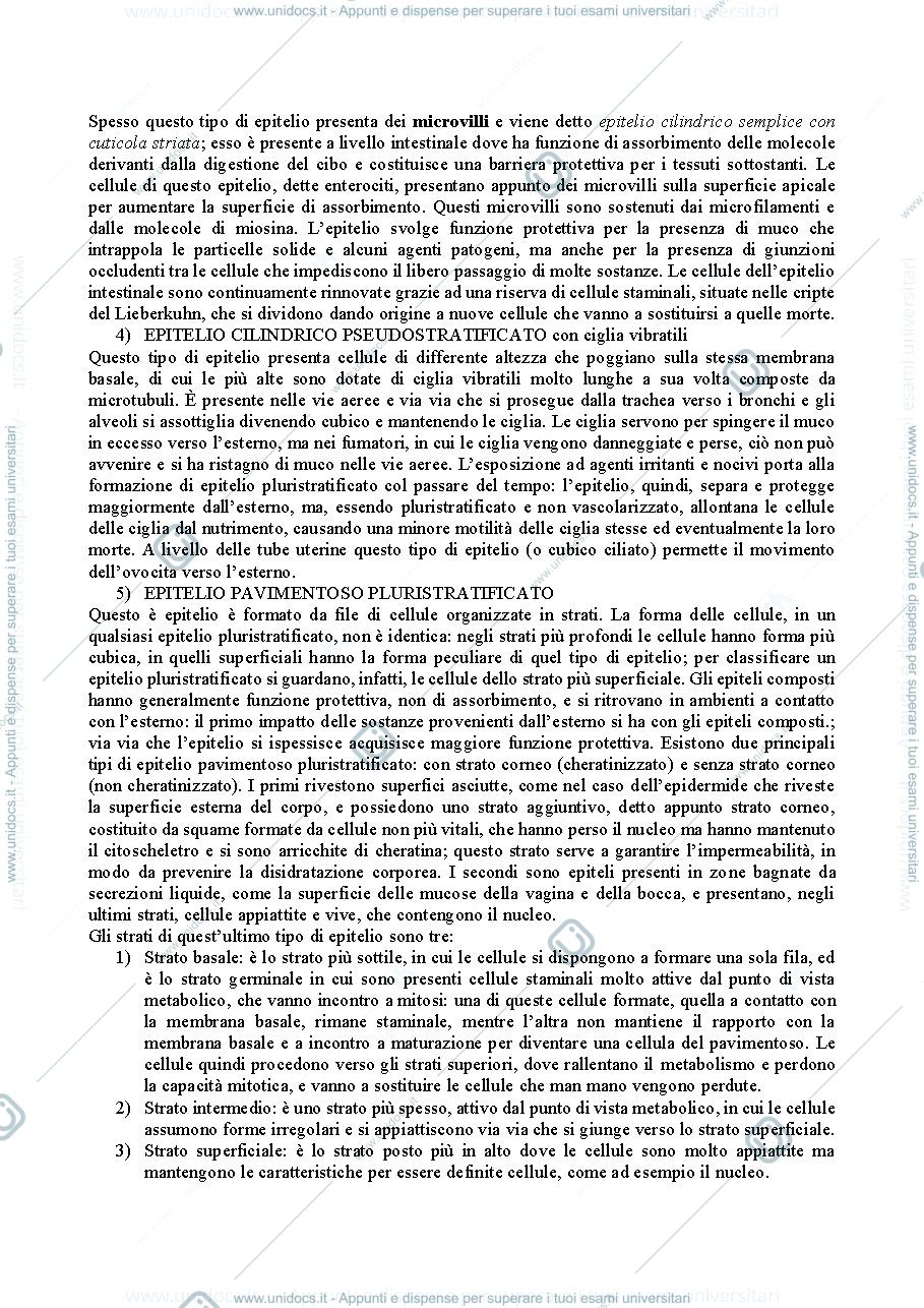 Anteprima pagina 2 — Istologia