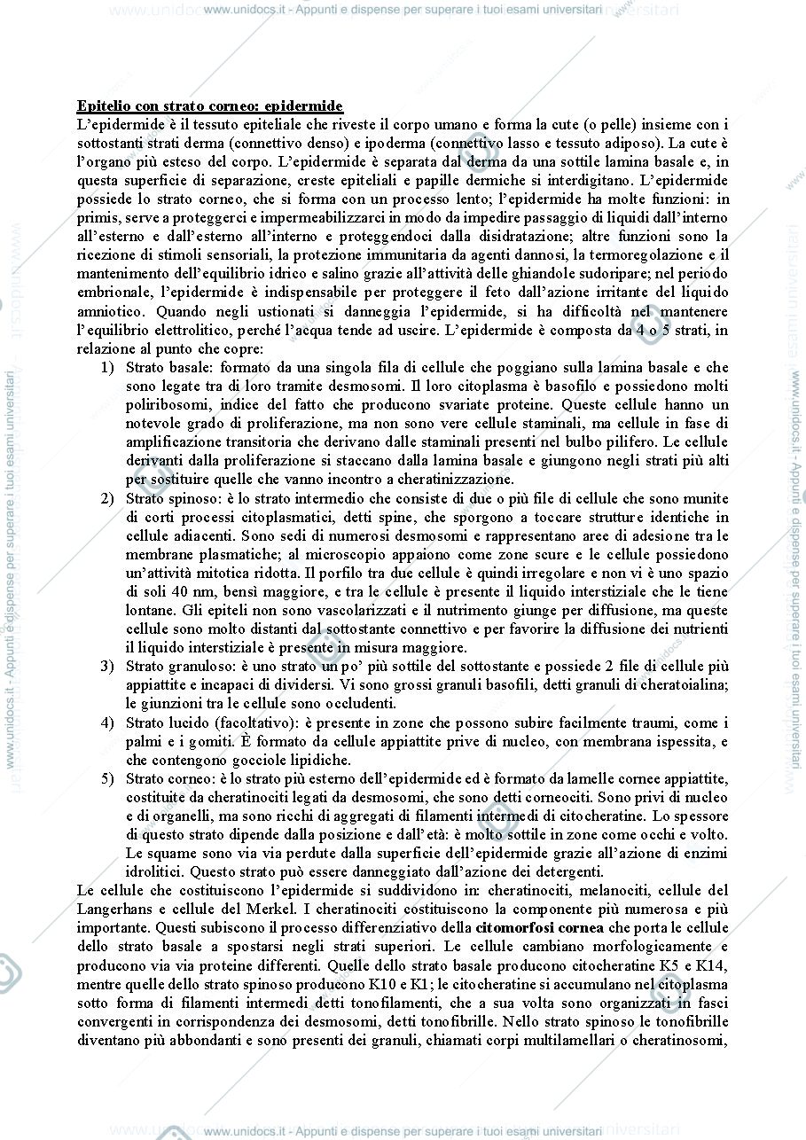 Anteprima pagina 3 — Istologia