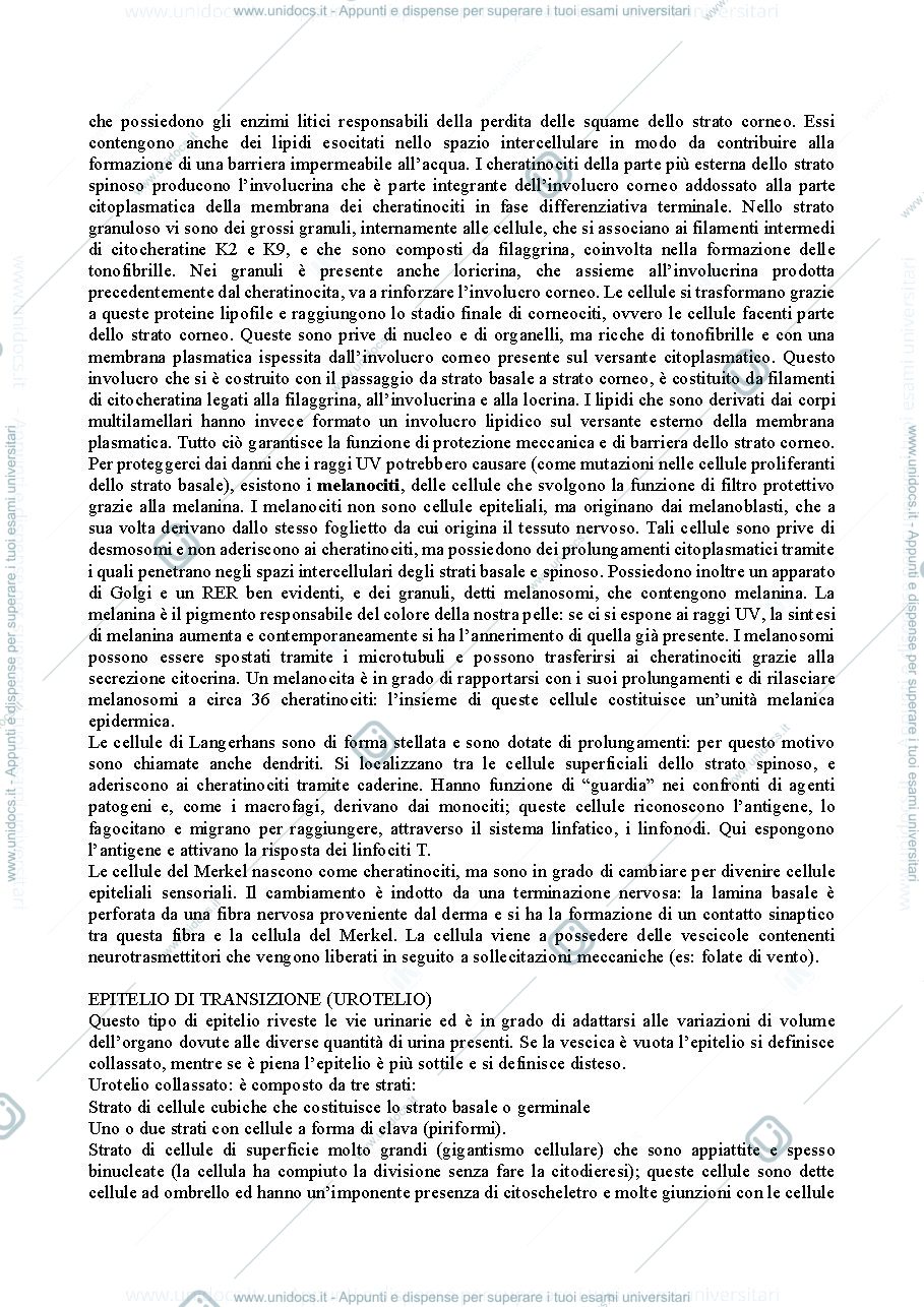 Anteprima pagina 4 — Istologia
