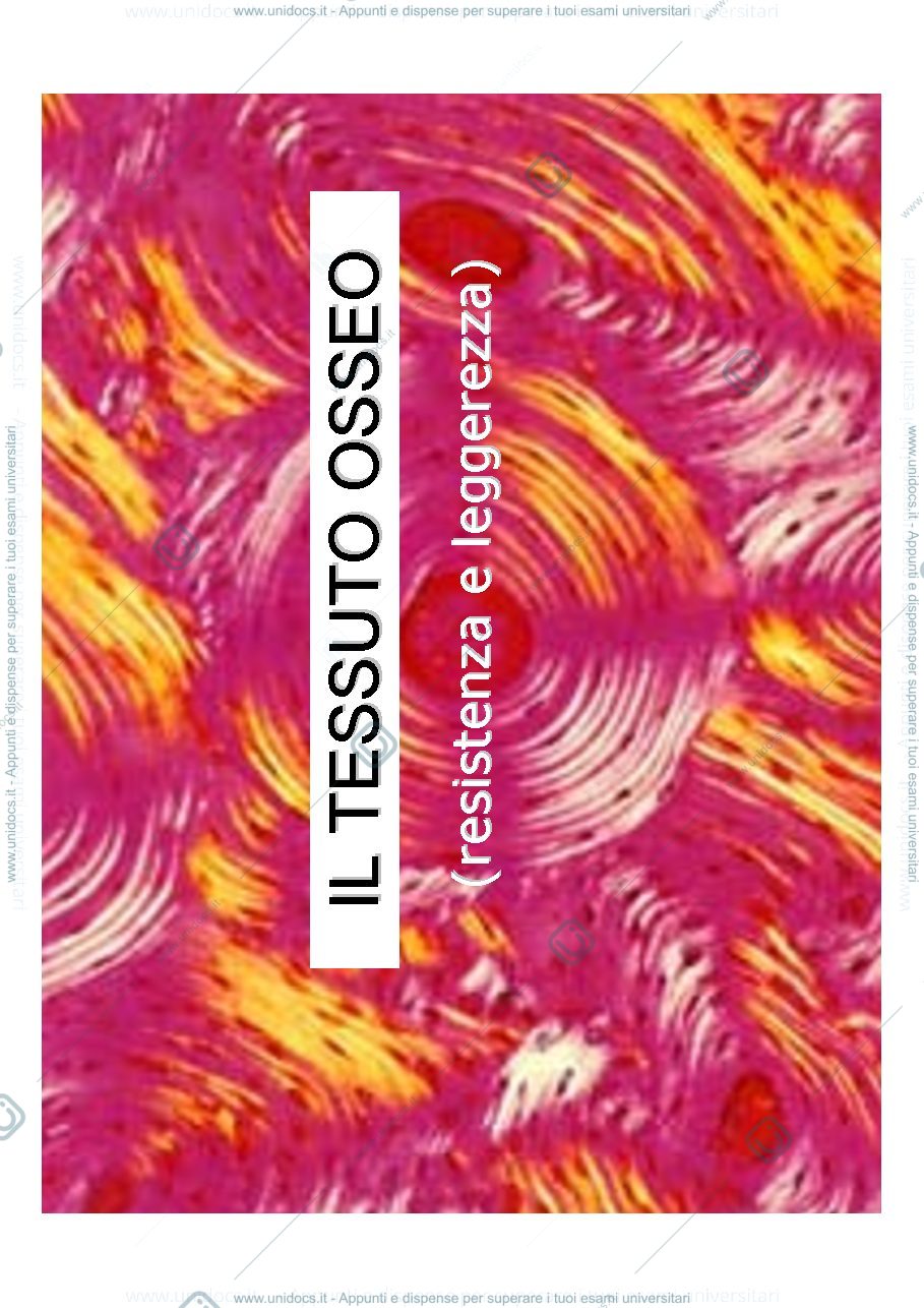 Anteprima pagina 1 — tessuto osseo