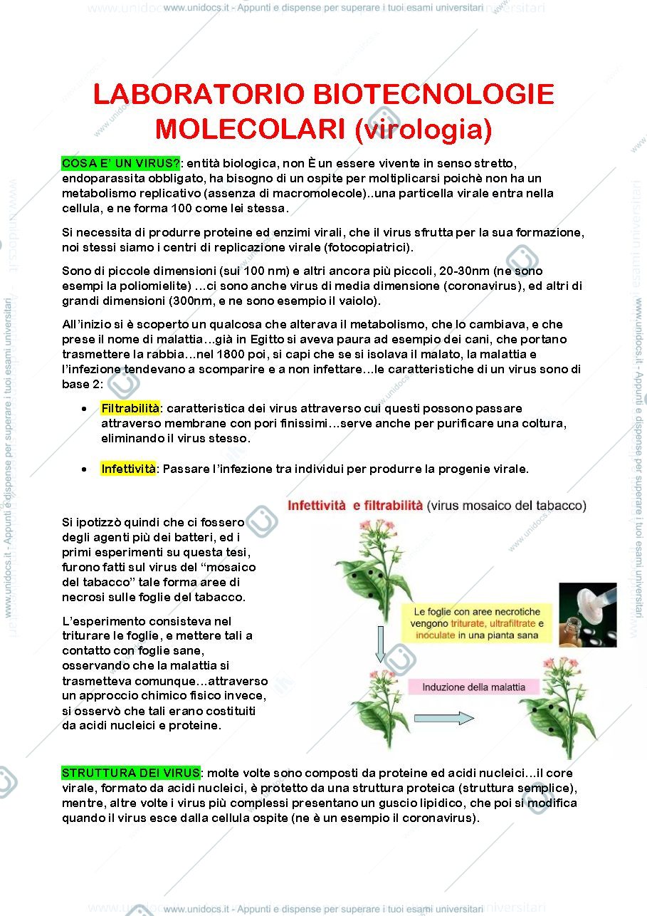 Anteprima pagina 1 — virologia camilloni 