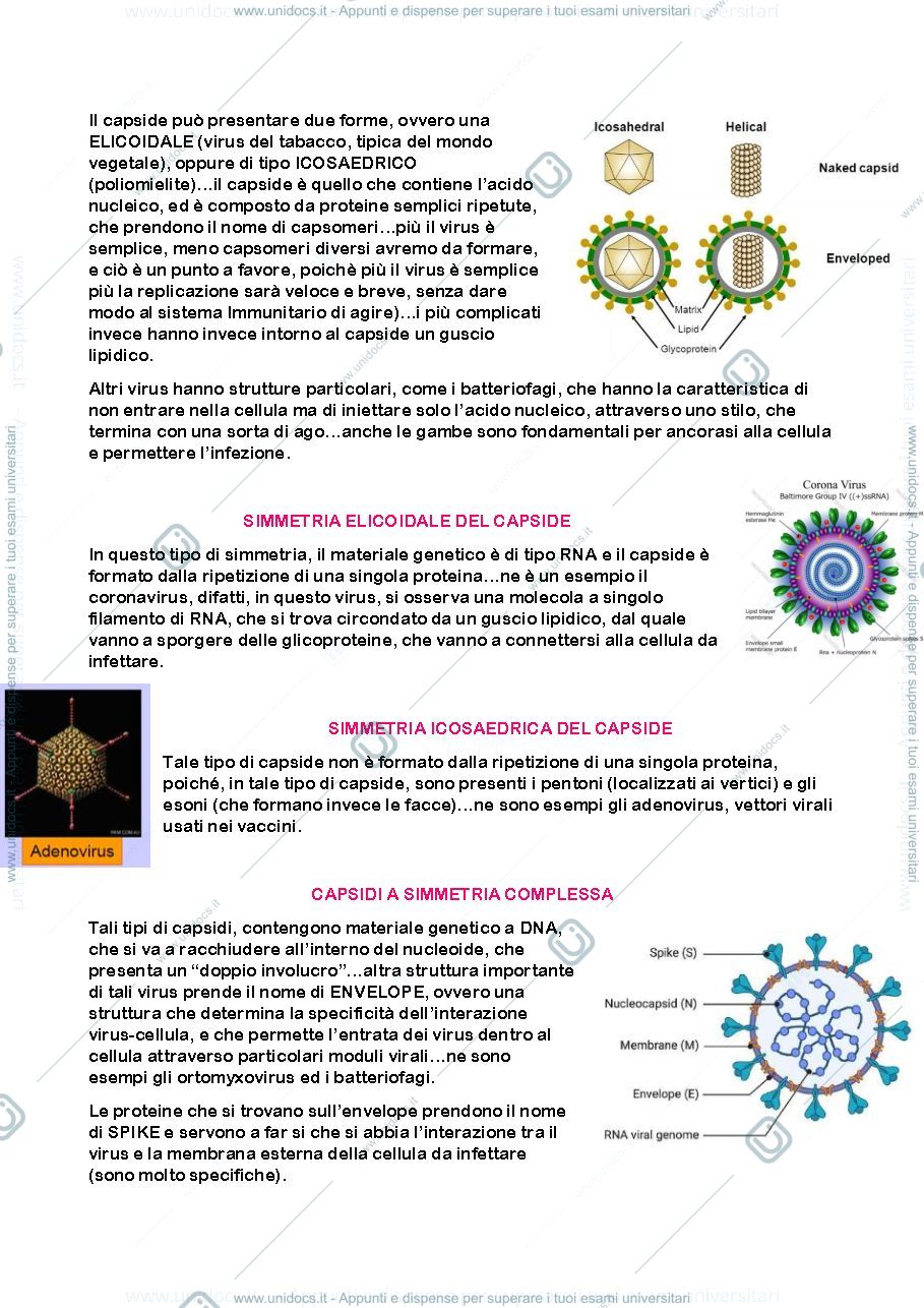Anteprima pagina 2 — virologia camilloni 