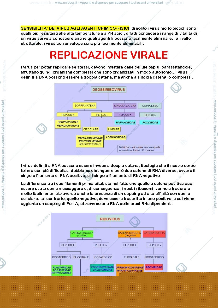 Anteprima pagina 3 — virologia camilloni 
