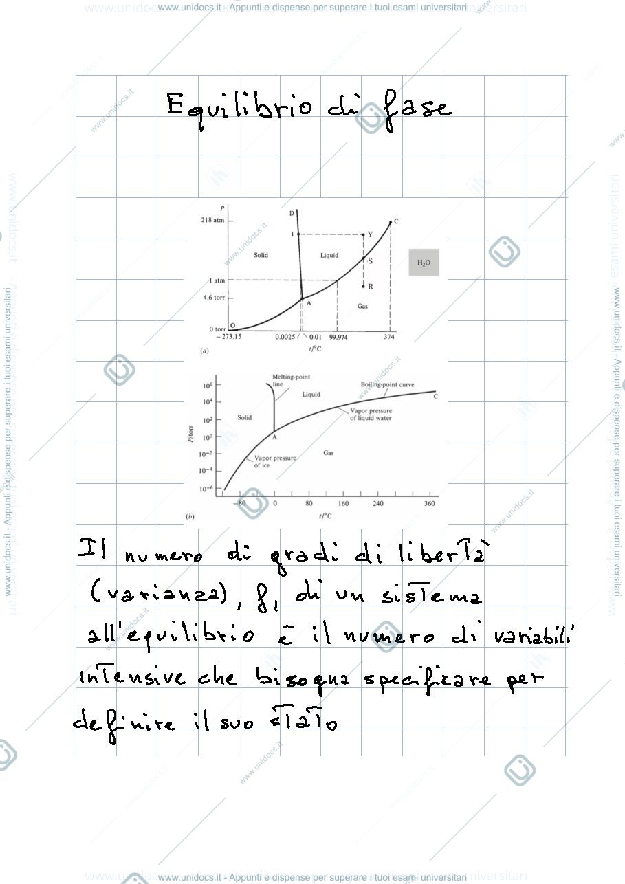 Anteprima pagina 1 — Appunti 
