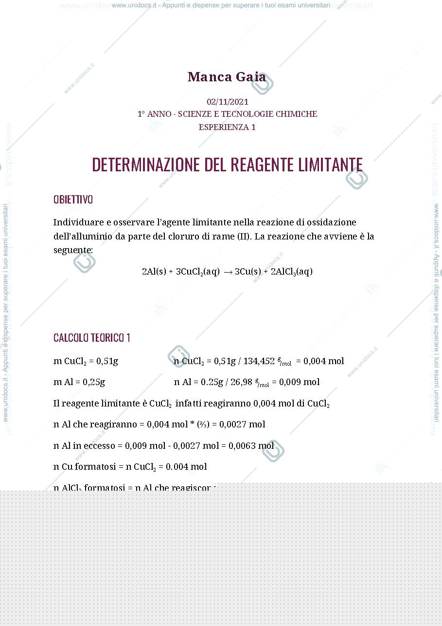 Anteprima pagina 1 — esperienza 1