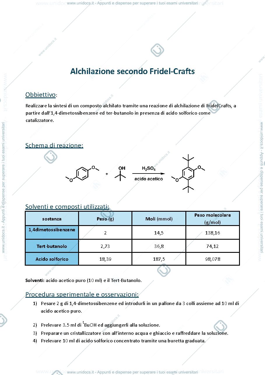 Anteprima pagina 1 — Relazioni laboratorio di chimica organica