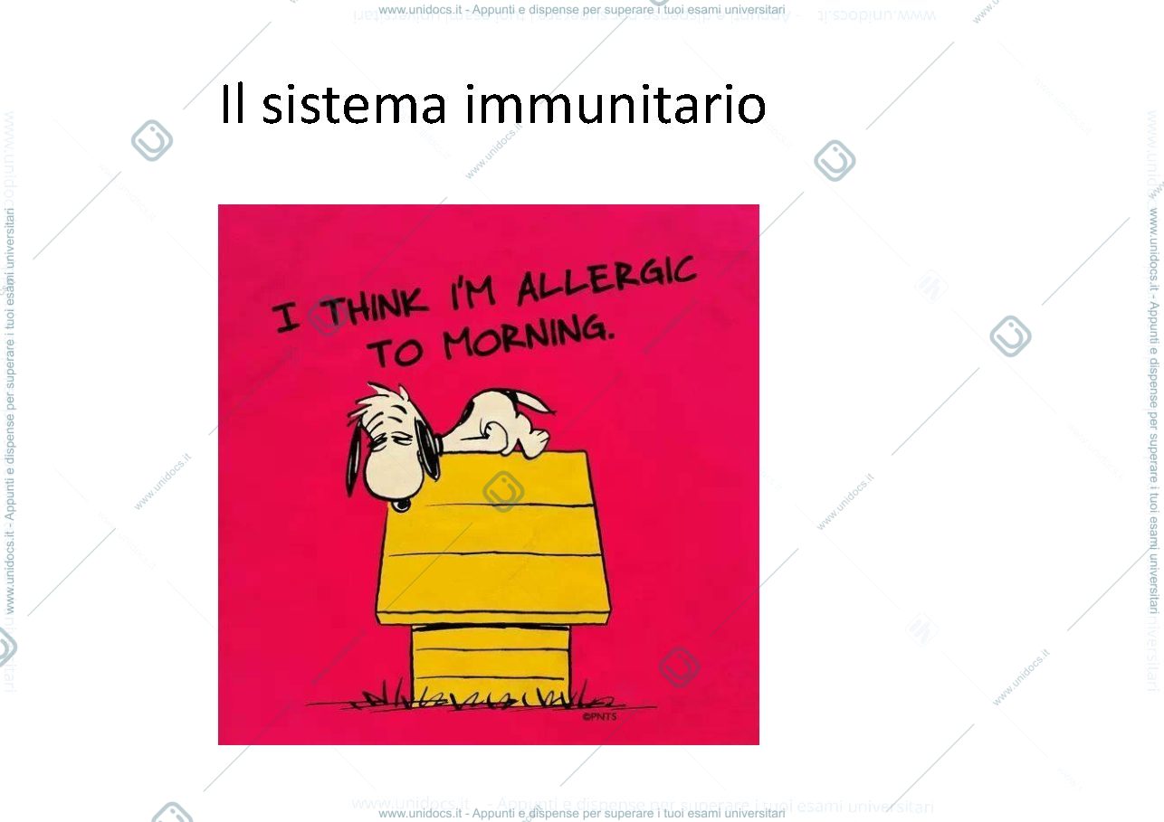 Anteprima pagina 1 —  Il sistema immunitario