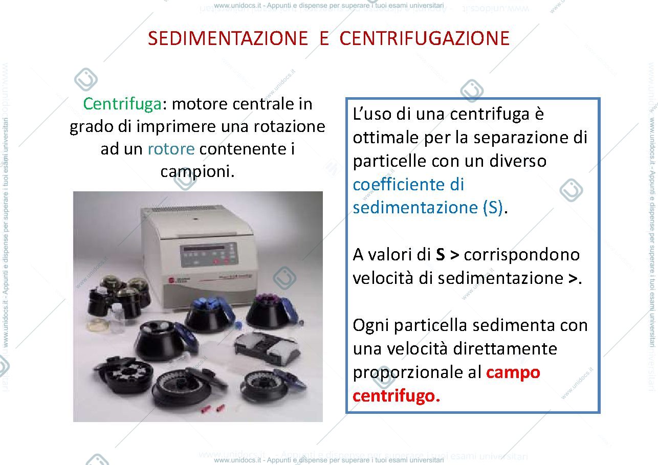 Anteprima pagina 1 — centrifugazione