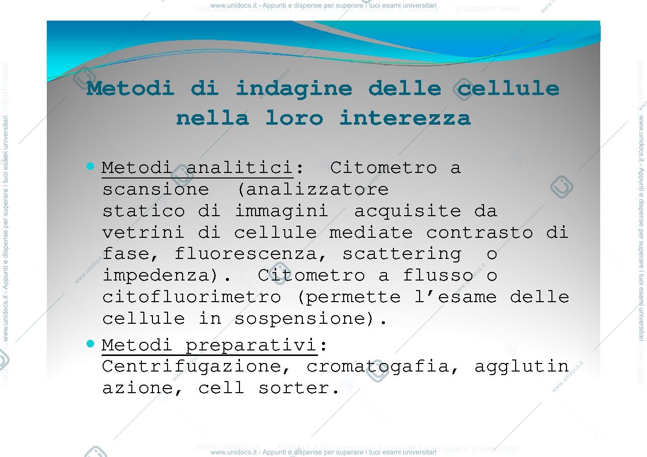 Anteprima pagina 3 — studio delle proteine