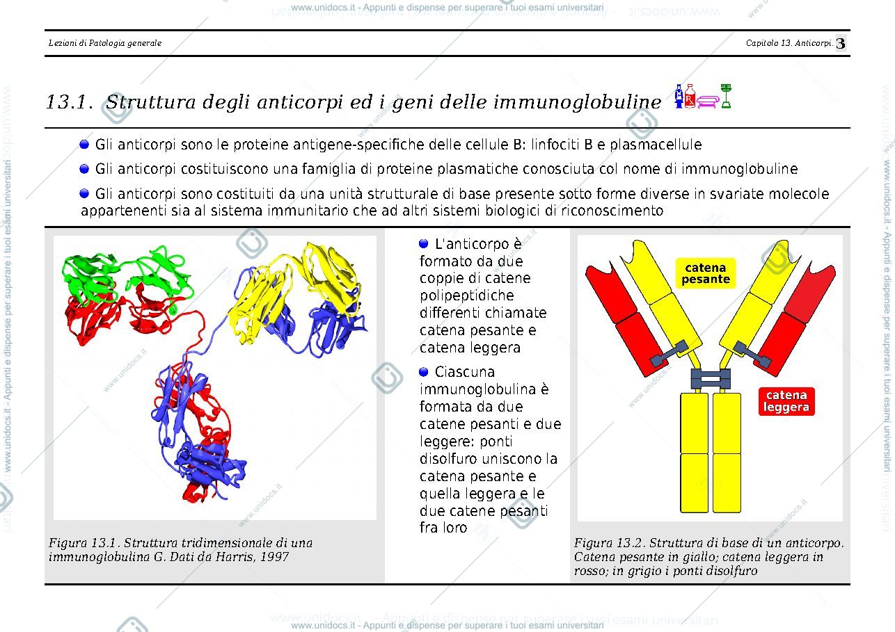 Anteprima pagina 3 — anticorpi