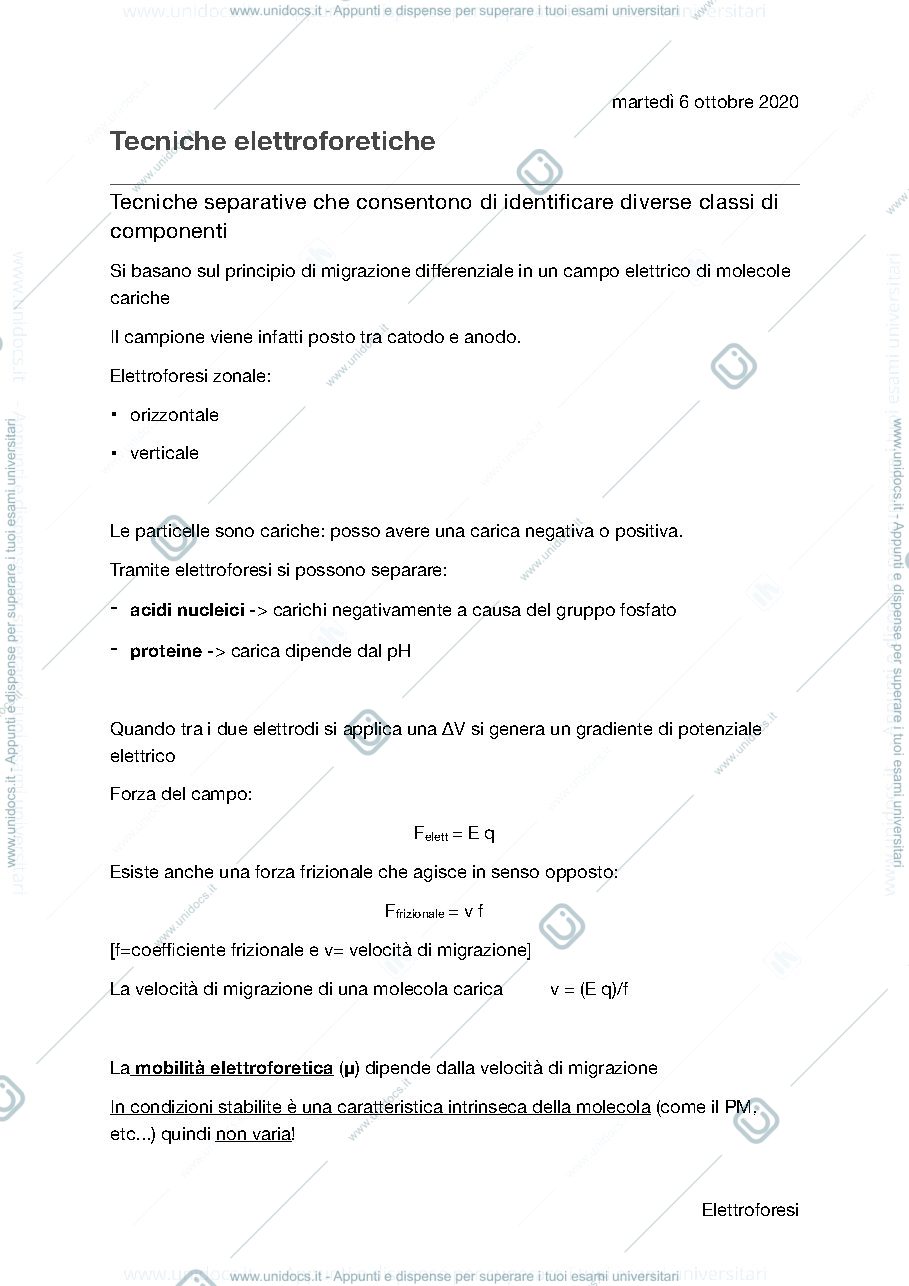 Anteprima pagina 1 — Tecniche elettroforetice 