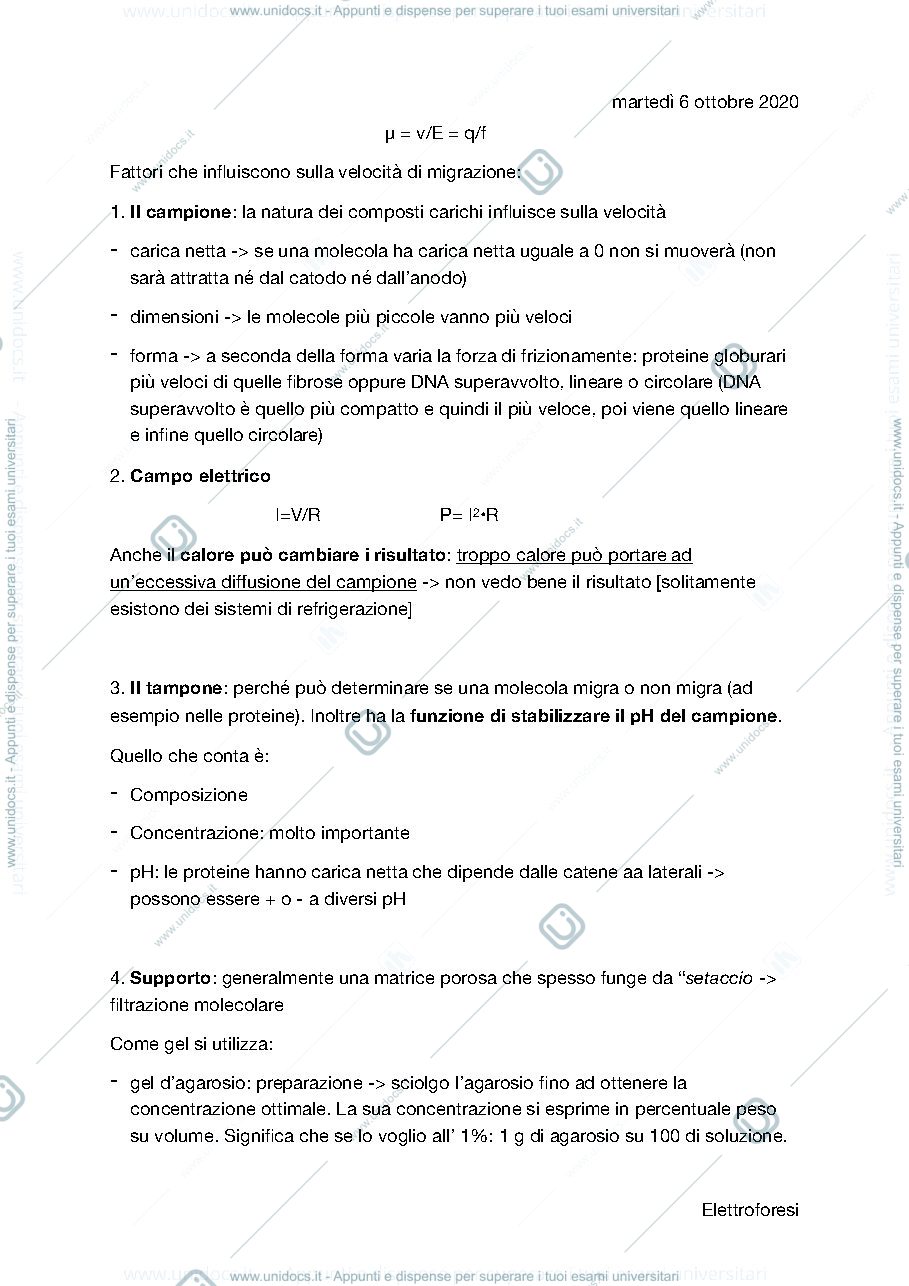 Anteprima pagina 2 — Tecniche elettroforetice 