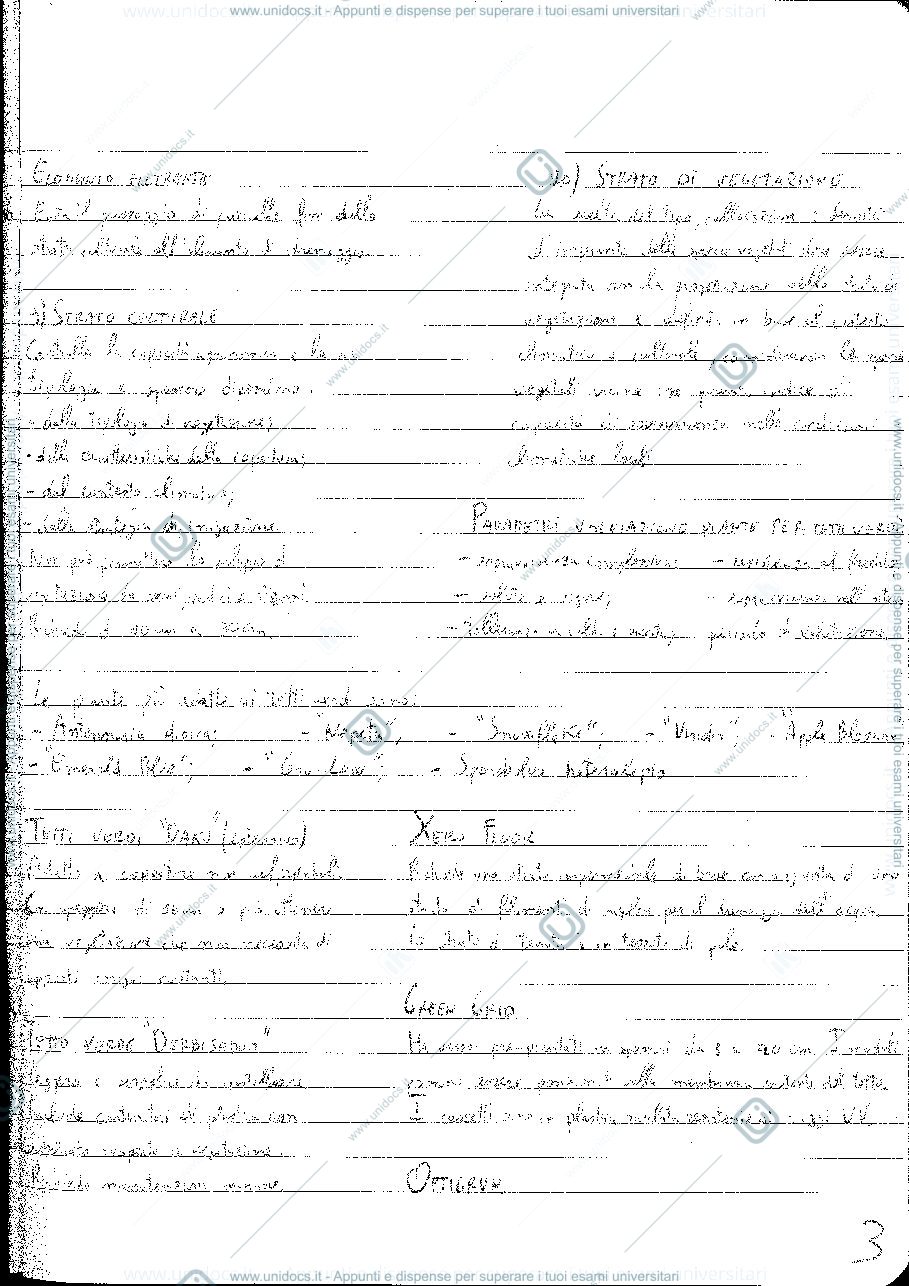Anteprima pagina 3 — Teoria - Prof. Romano