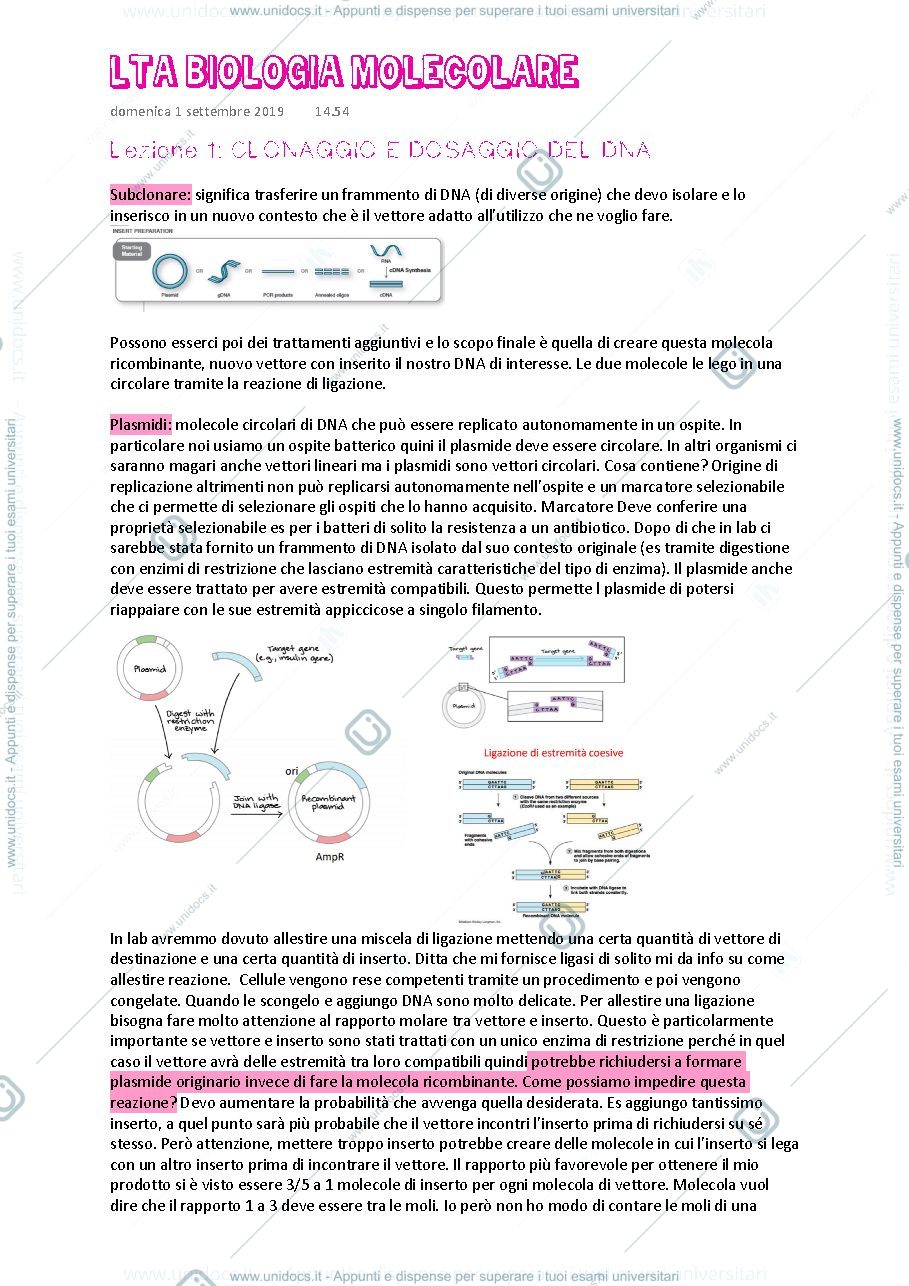 Anteprima pagina 1 — Appunti lezioni Laboratorio tecnologie abilitanti biomolecolari