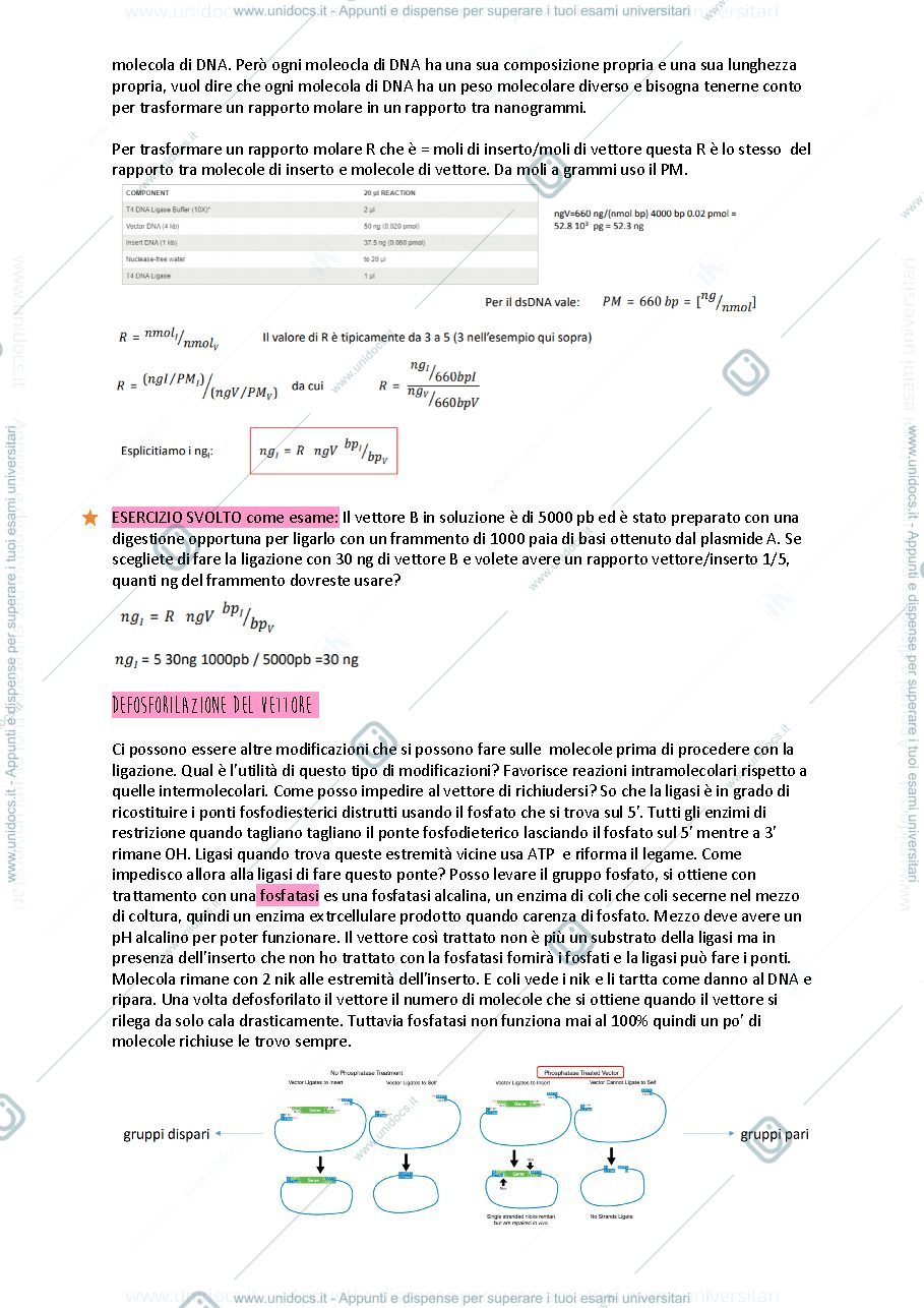 Anteprima pagina 2 — Appunti lezioni Laboratorio tecnologie abilitanti biomolecolari