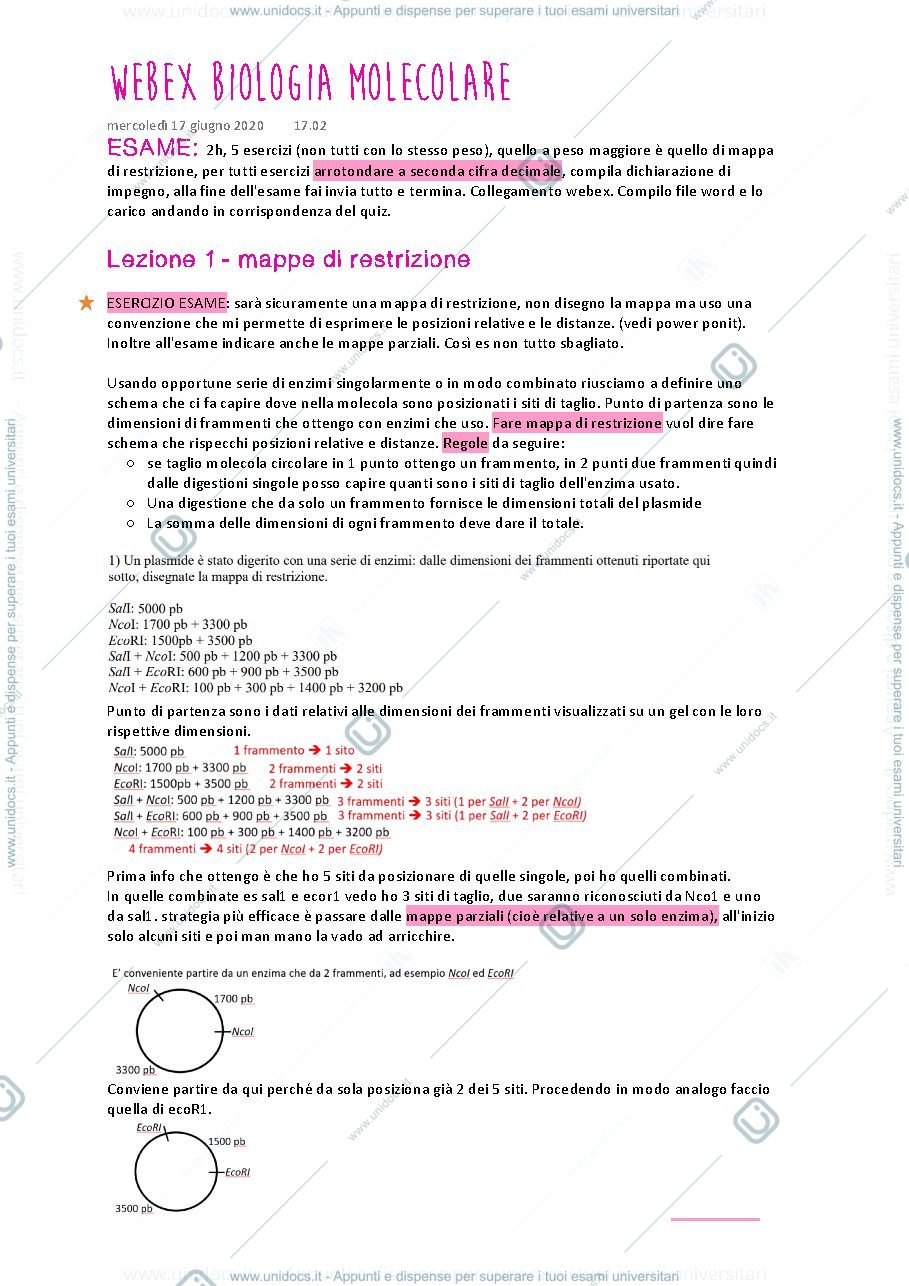Anteprima pagina 1 — Esercizi in preparazione all'esame