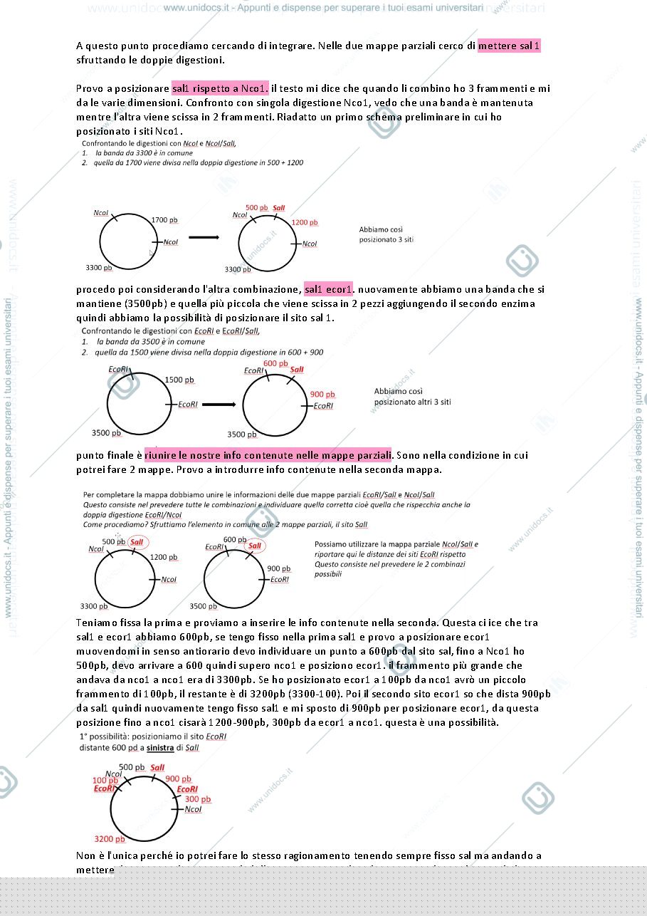 Anteprima pagina 2 — Esercizi in preparazione all'esame