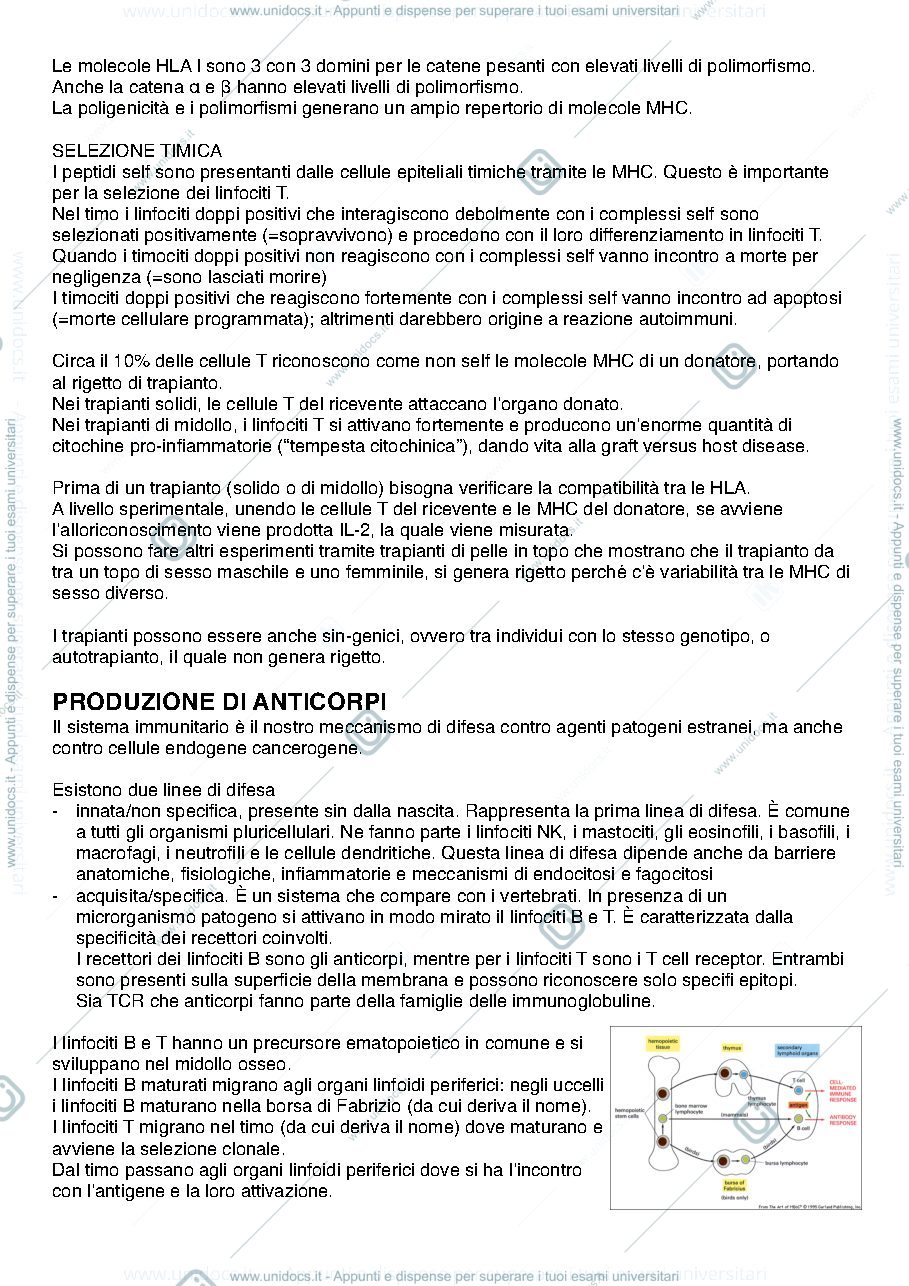Anteprima pagina 2 — LTA immunologiche