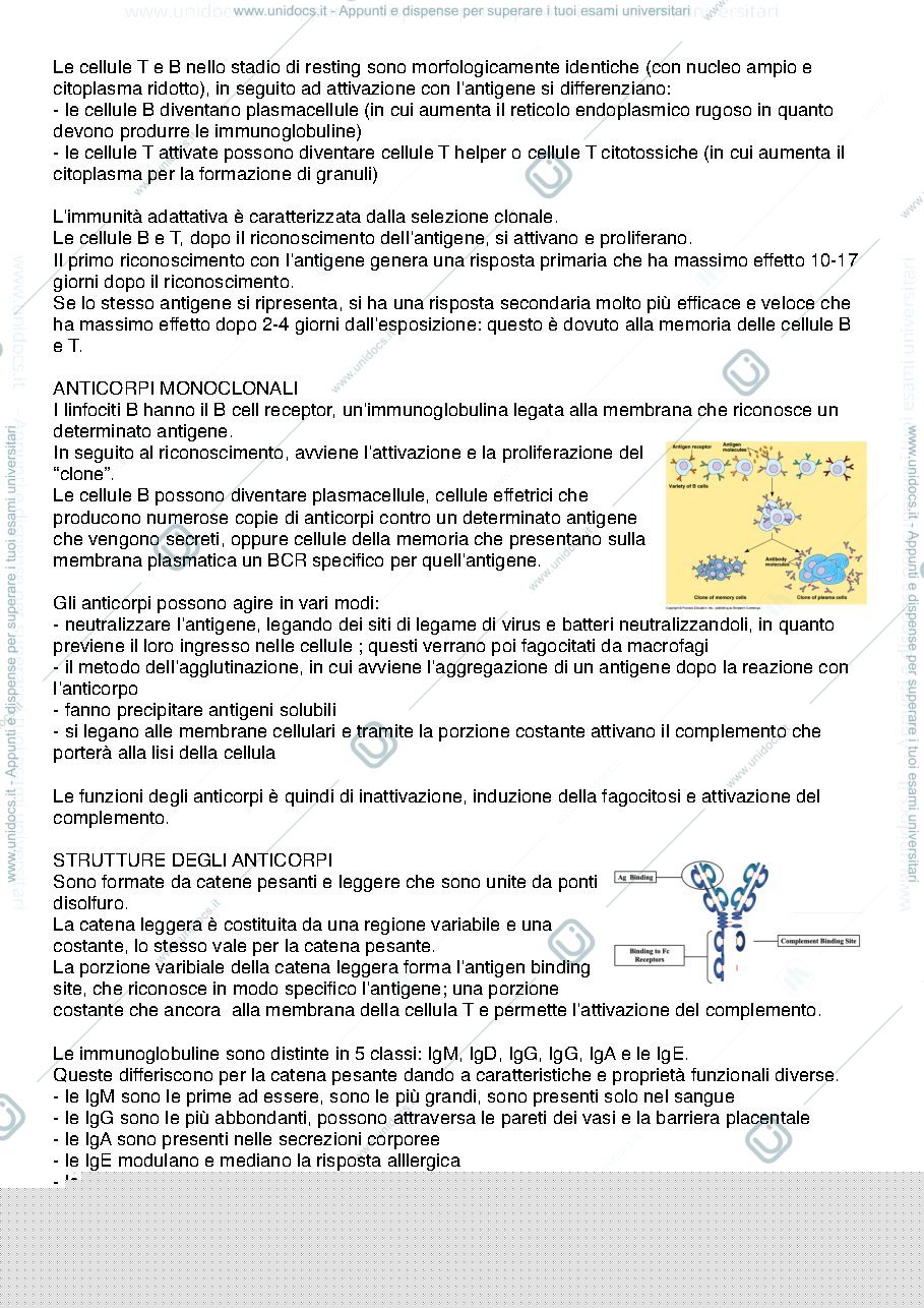 Anteprima pagina 3 — LTA immunologiche