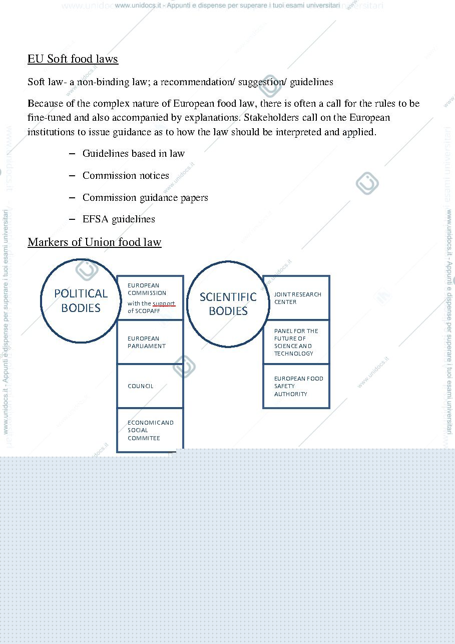 Anteprima pagina 3 — Food law
