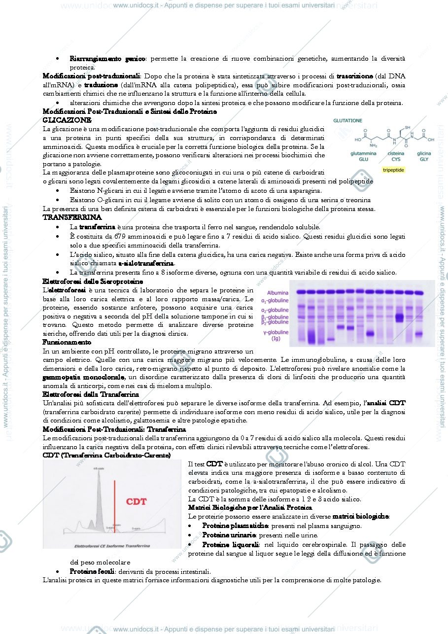 Anteprima pagina 2 — BIOLOGIA CLINICA