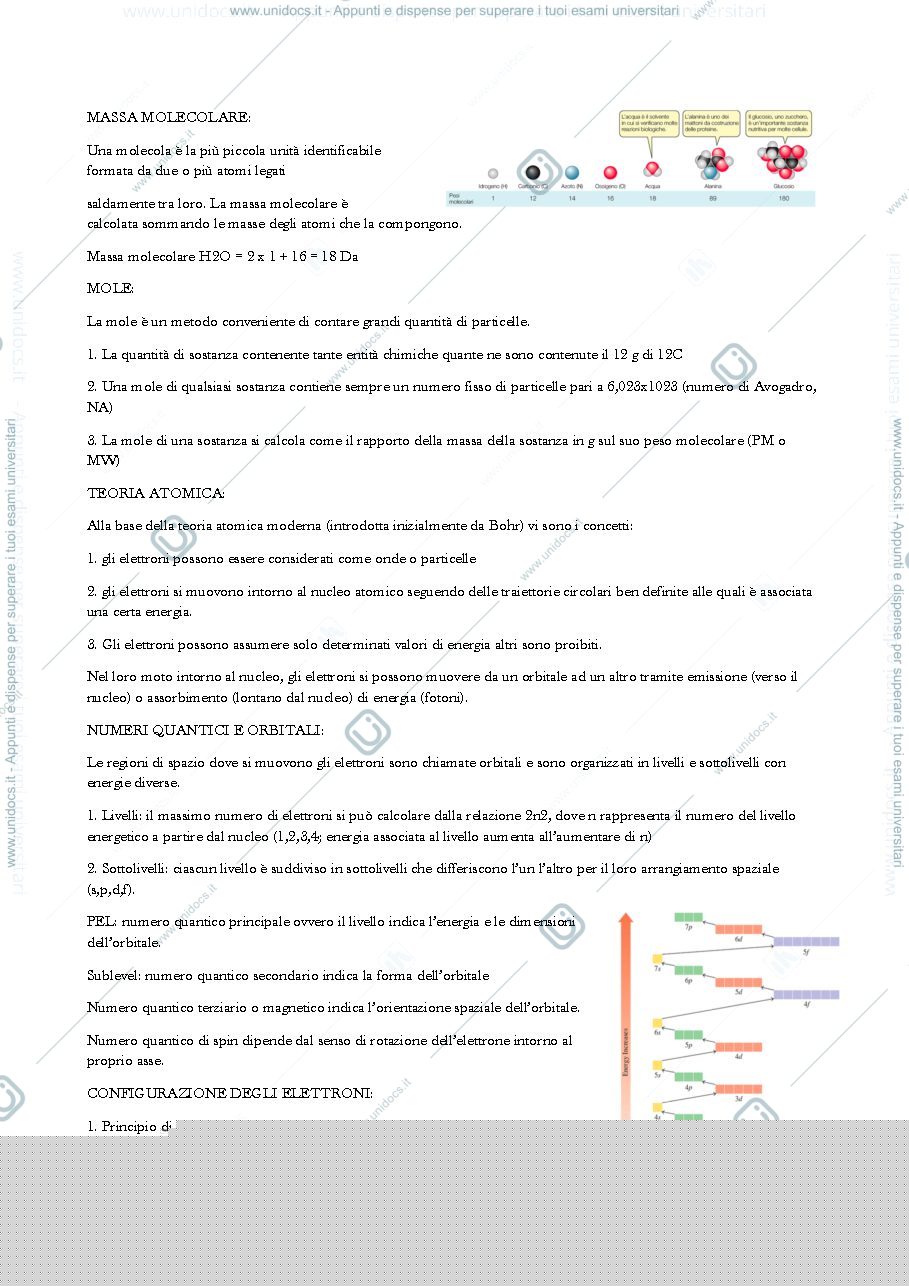 Anteprima pagina 3 — BIOCHIMICA