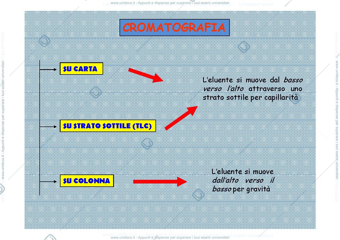 Anteprima pagina 2 — cromatografia (2)