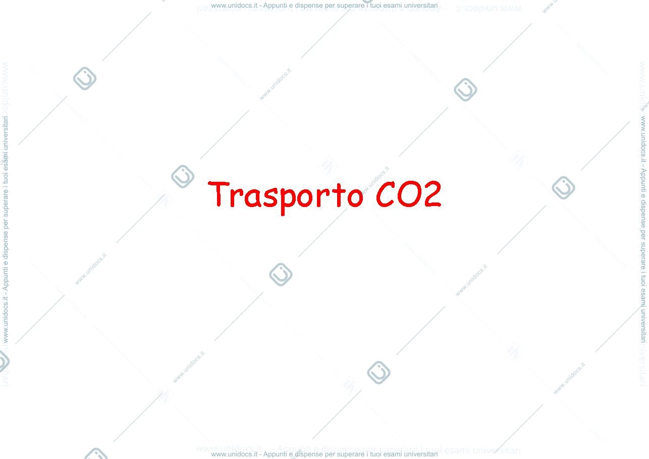 Anteprima pagina 1 — Trasporto CO2